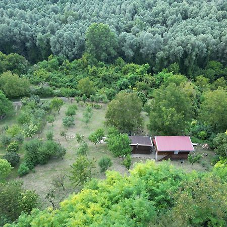 Willa Odmor Za Dusu I Tijelo U Srcu Prirode Aljmaš Zewnętrze zdjęcie